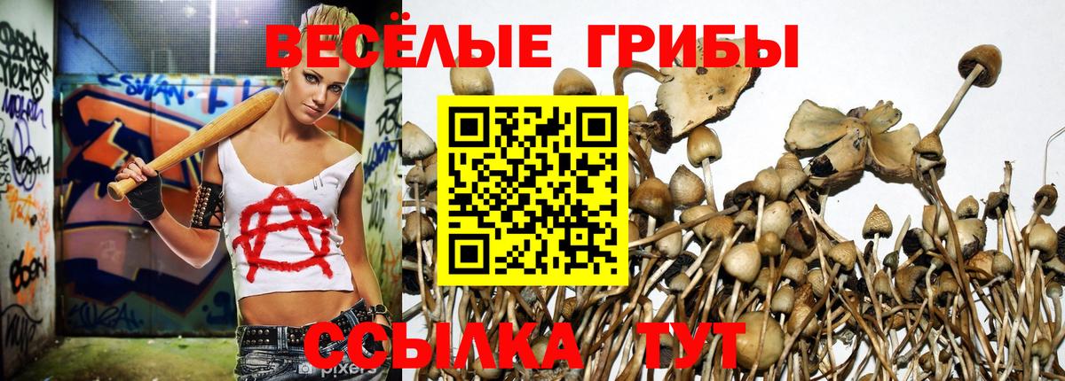 Галлюциногенные грибы прущие грибы Севастополь