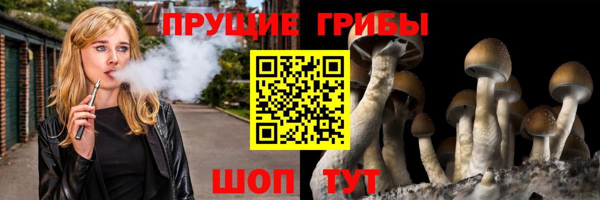 Галлюциногенные грибы прущие грибы  Галлюциногенные грибы Cubensis  Вход с VPN  Севастополь 